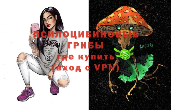 трава Богородицк