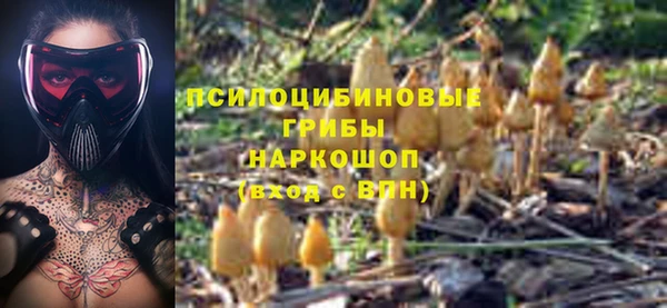 mdpv Богданович