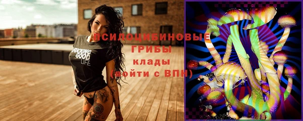 синтетический гашиш Богородск